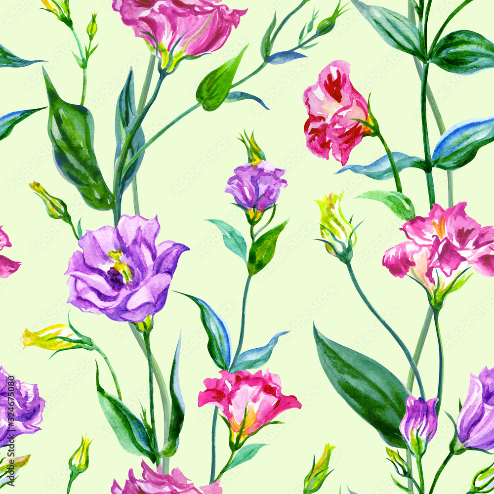 Seamless pattern of spring flowers of eustoma (lisianthus) on a pale green background, watercolor print for fabric or background for various designs.