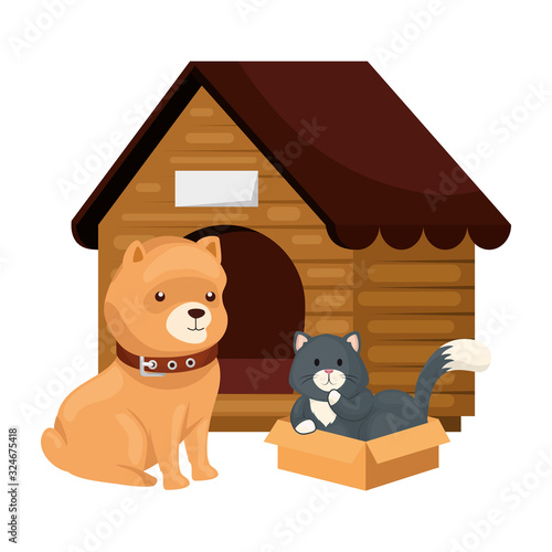 cute dog and cat with wooden house isolated icon vector illustration design