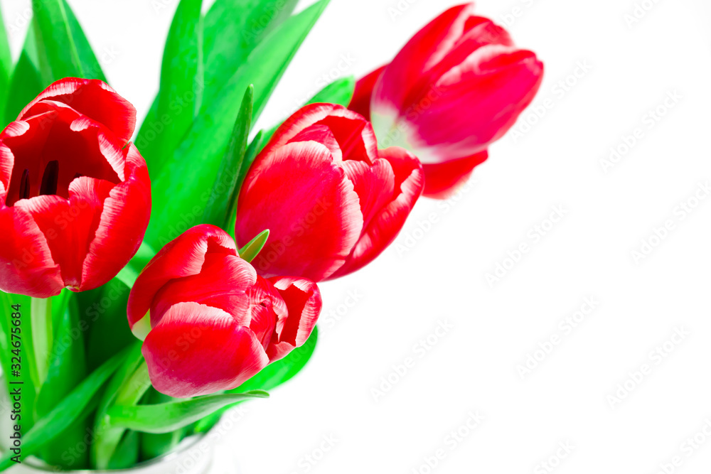 Bouquet of red tulips on a white background. International women day. Holidays. Hello spring Bouquet of red tulips on a white background. International women day. Holidays. Hello spring