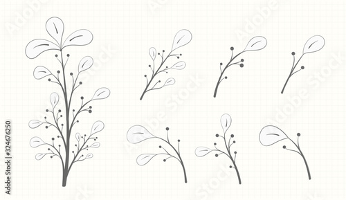 A branch with leaves in a gray tone and a set of small branches isolated on a light background