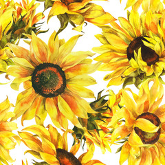 Fotobehang Geel patronen Aquarel zonnebloemen botanisch patroon  © Maya