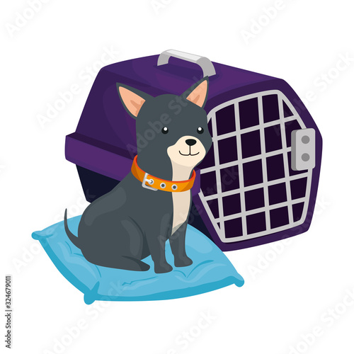 cute dog in cushion and carry box vector illustration design