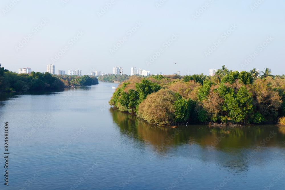 mangrove forest with lake and background of city view, kerala kochi