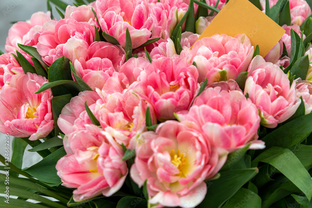 Large bouquet of pink tulips with palm leaves and paper with copy space Large bouquet of pink tulips with palm leaves and paper with copy space