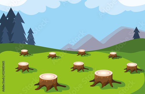 tree stumps showing deforestation, environmental disaster
