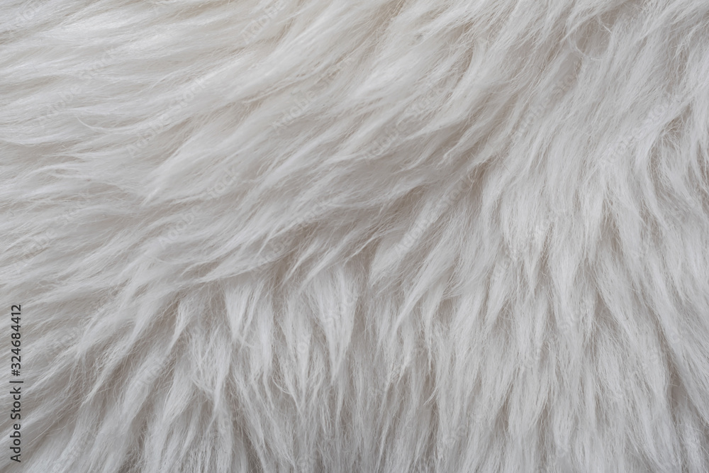 White long hair fur for background or texture sheep White long hair fur for background or texture sheep