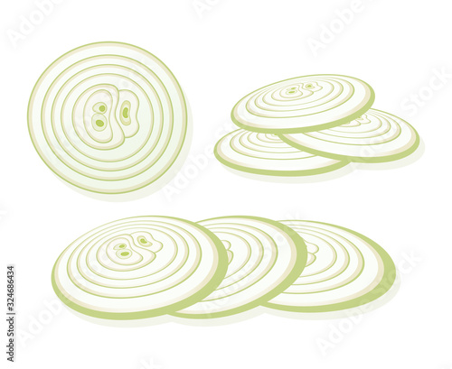 Sliced onion isolated on white background. Rings of onion. Vector Illustration.