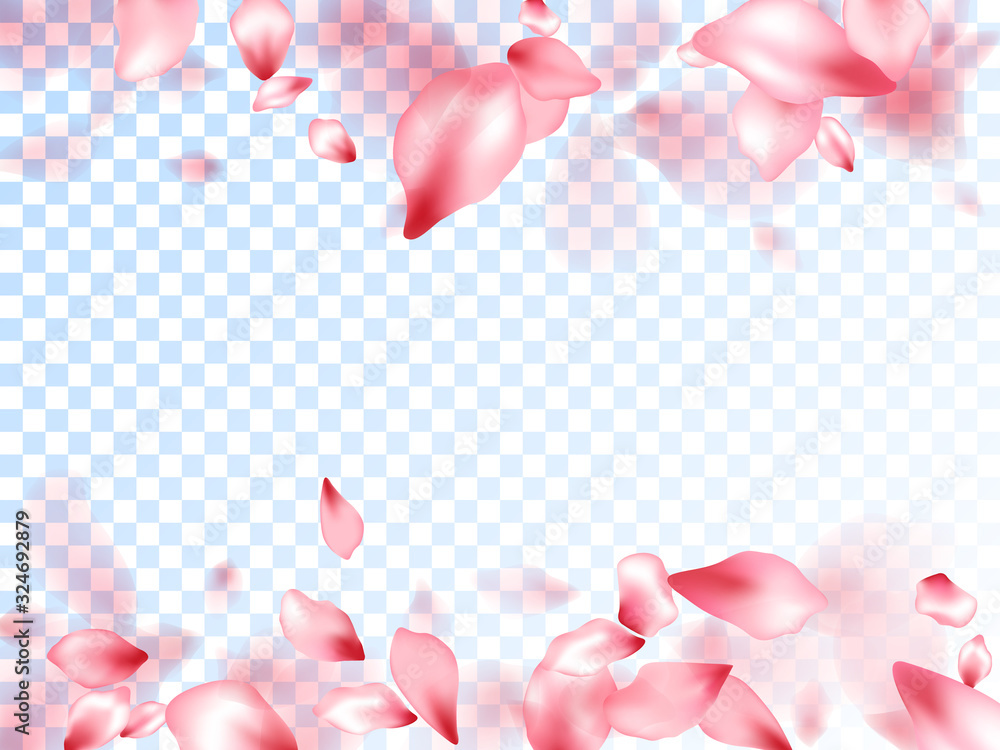 Obraz Pink sakura petals falling vector graphics.