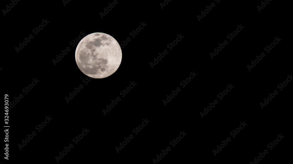 The First Super Moon of 2020 - obrazy, fototapety, plakaty 