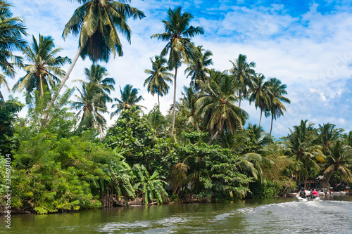  Madu River Safari, beautiful tropical riverbank. Beautiful palm trees against the sky with colorful clouds. boats with tourists on safari