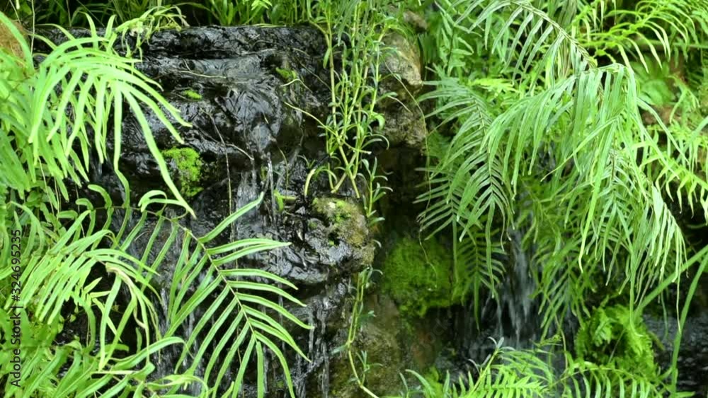 Model waterfall in the garden with green leaves. Model waterfall in the garden with green leaves.