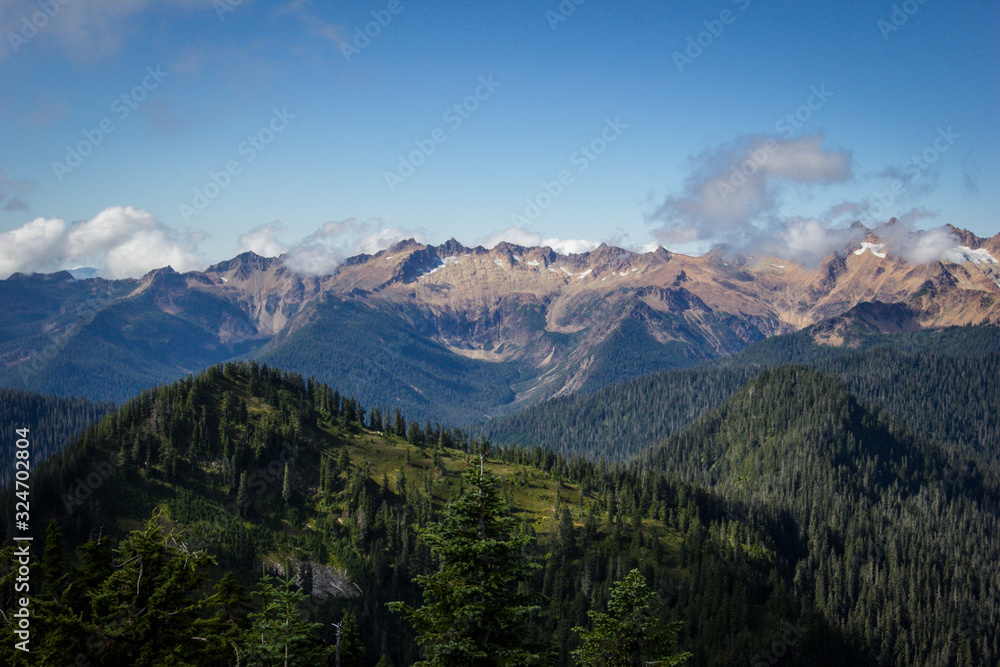 View of mountains and forest with blue sky