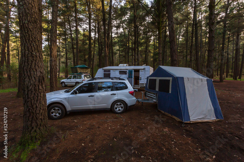People on holidays enjoy camping in the cool forest at Lane Pool Reserve on the Murray River.