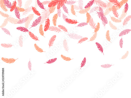 Fluffy twirled feathers on white design.