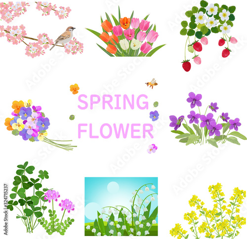 春の花