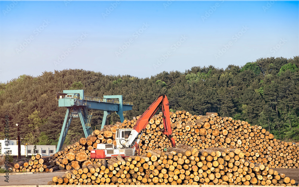 Obraz premium Timber stacked and log loader machine at lumber mill. 