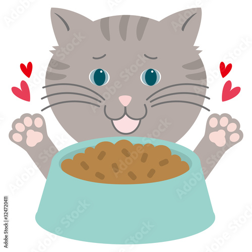 キャットフードに喜ぶ猫