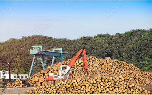 Timber stacked and log loader machine at lumber mill. 