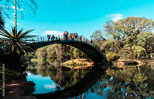 bridge over the river