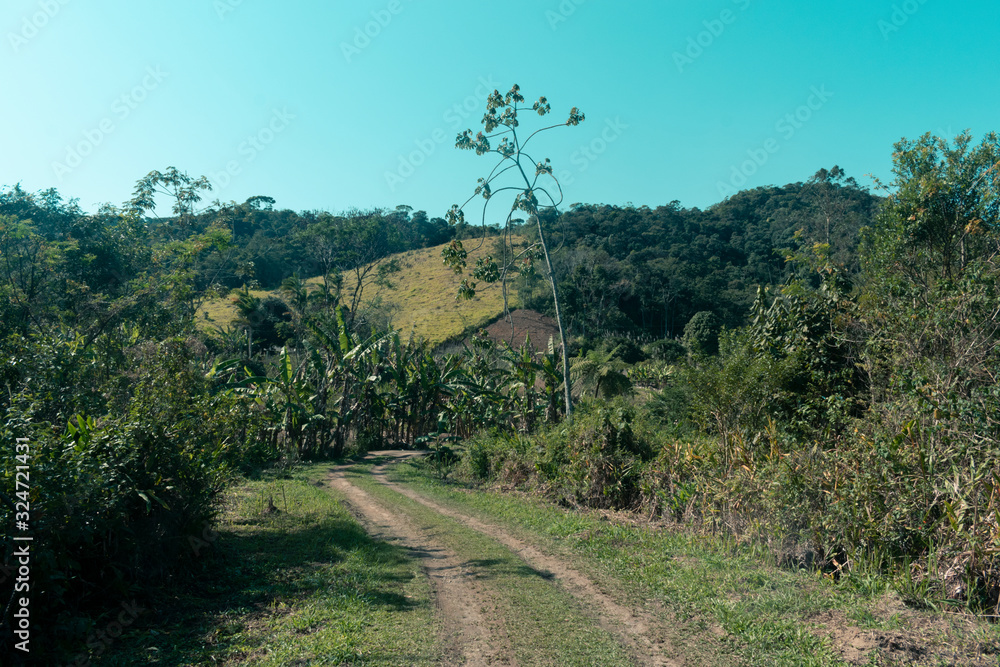 Obraz premium road in the mountains