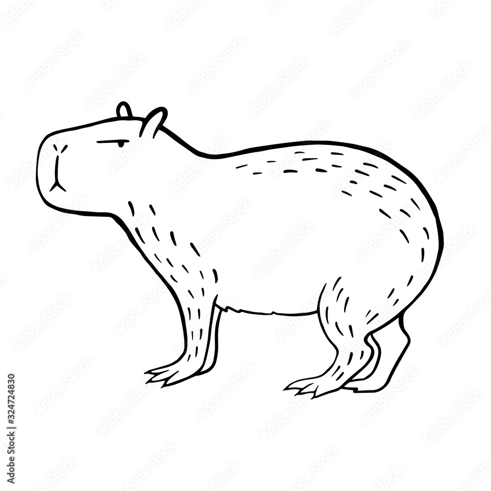 capybara vector sketch 8917850 Vector Art at Vecteezy