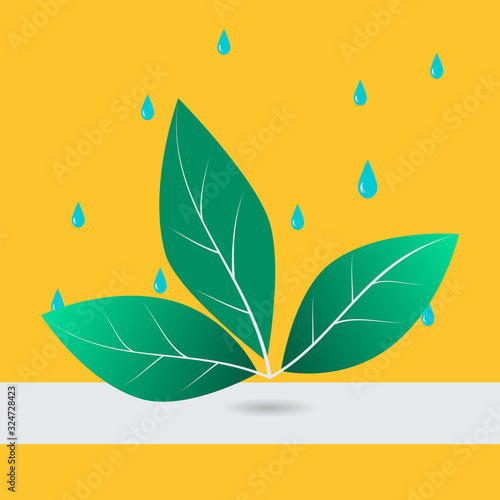 Green Leaf with the waterdrop on orange background. Designed for Organic Logo.