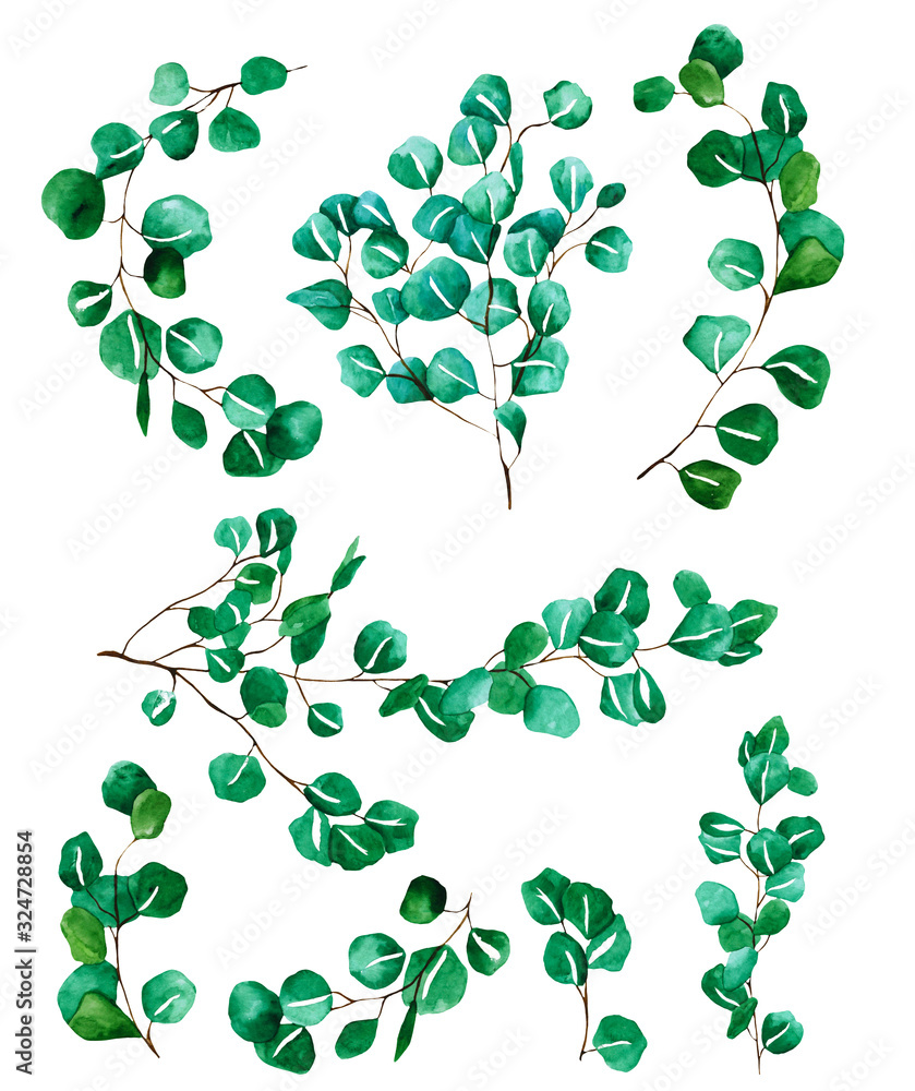 Hand-painted watercolor set. Poster with green leaves. leaf frame for invitation cards Hand-painted watercolor set. Poster with green leaves. leaf frame for invitation cards