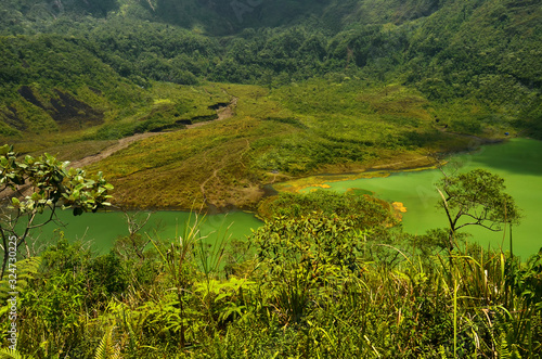 Wallpaper Mural lake in mountains with green view of plants in West Java Torontodigital.ca