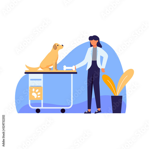 veterinarians check pet health, dog, kitten and bird vector illustration
