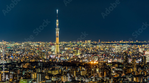 Night view of Tokyo Japan                                      
