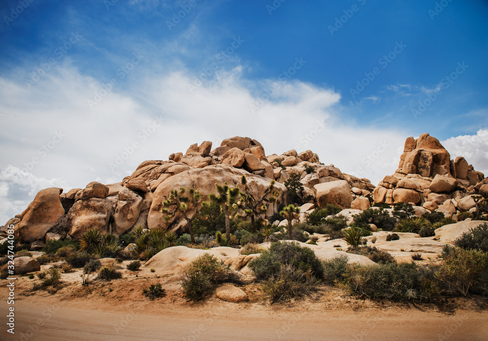 Landscape of Joshua Tree National Park, California Landscape of Joshua Tree National Park, California