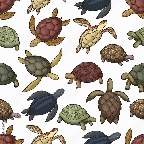 Fotografie Turtle animals vector seamless pattern of sea turtle, tortoise and terrapin background