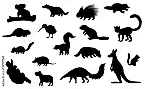 Wild animal black silhouettes of hunting sport and zoo vector design. Kangaroo  koala bear  badger and beaver  platypus  kiwi bird  porcupine and lemur  echidna  capybara and armadillo wild animals