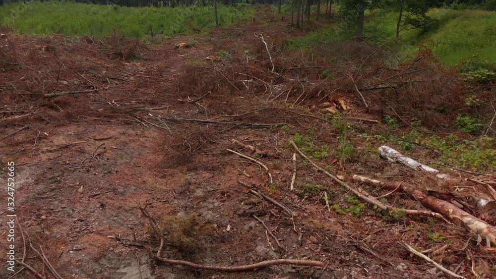Aerial over recently clearcut area of forest. Aerial over recently clearcut area of forest.