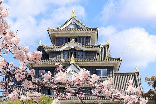 Photos Okayama castle and blooming sakura branch, Okayama, Japan