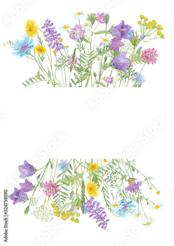 Watercolor hand drawn floral summer frame with copy space and wild meadow flowers (clover, bluebell, cornflower, tansy, chamomile, cow vetch, dandelion etc.) and grass isolated on white background © Lelakordrawings