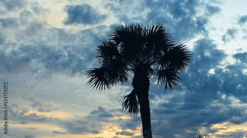 Beautiful time lapse of the sky passing by a Palm Tree in Florida. photo