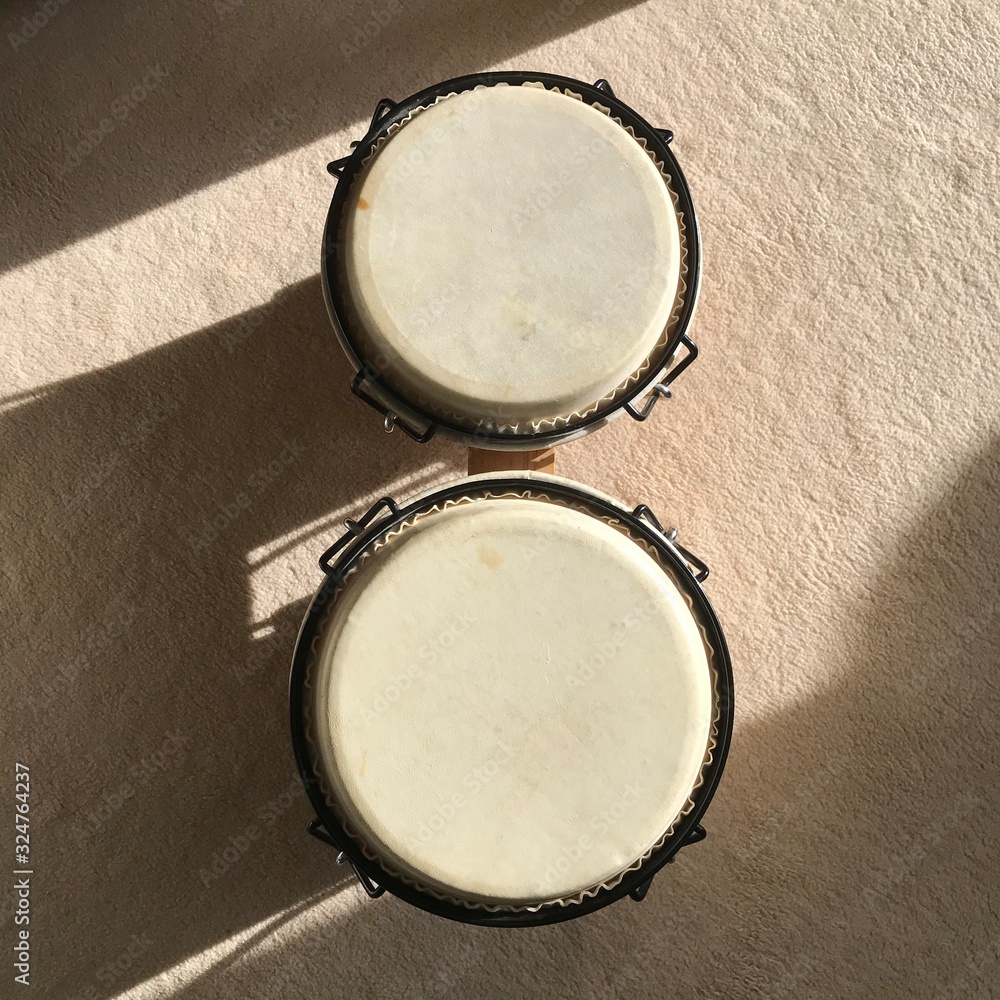 Fototapeta premium Bongo isolated on a brown background 