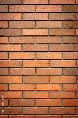 Bricks in the wall of the house.