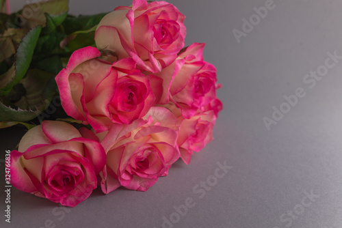 Bouquet of roses on grey background. Close up of flowers. Concept of Mothers Day, 8 March, Women’s Day. .