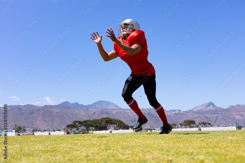 Fototapeta premium Football player playing football