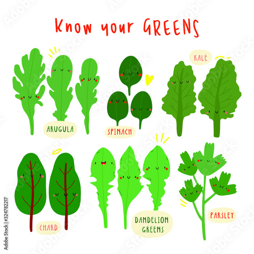 Know Your Greens - super cute vector collection with various greens: Kale, Spinach, Arugula, Chard, Dandelion greens, Parsley. Seasonal green salads leaves illustration.