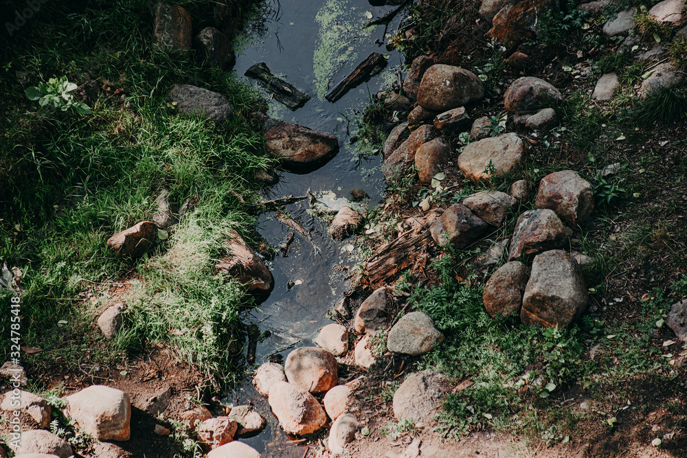 A small creek overgrown with mud and green grass on top A small creek overgrown with mud and green grass on top