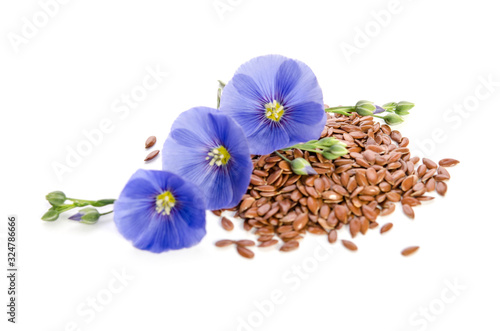 Beautiful flowers of flax with seeds isolated  on white backgroumd photo
