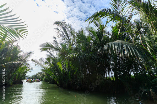 バスケットボートとニッパヤシのジャングル　ベトナム　ホイアン　Basket boat and Nippa palm jungle photo