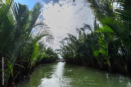                                                                                              Basket boat and Nippa palm jungle