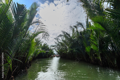 バスケットボートとニッパヤシのジャングル　ベトナム　ホイアン　Basket boat and Nippa palm jungle photo