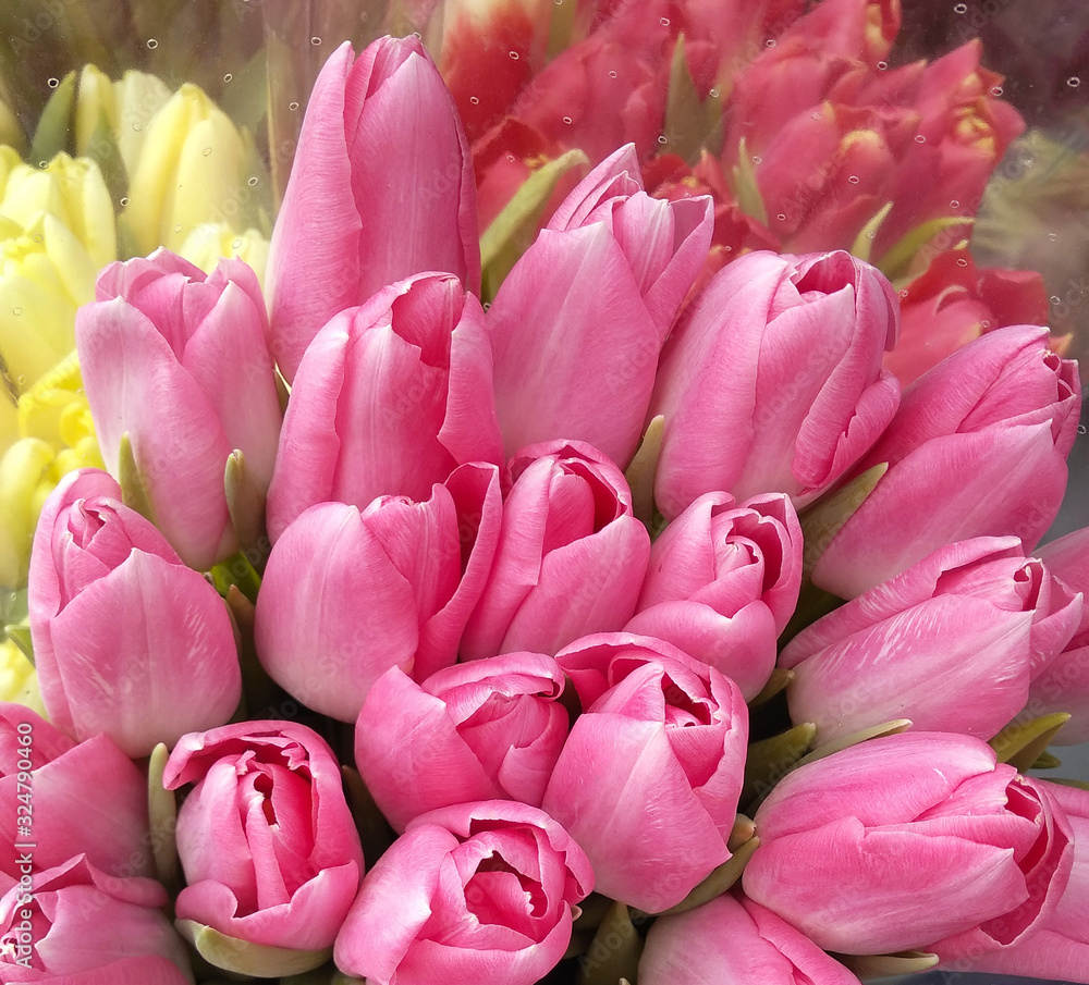 Tulips. Bouquet of fresh spring tulip flowers. Colorful bouquet of tulips at flower market. Bunch of tulips, closeup, selective focus