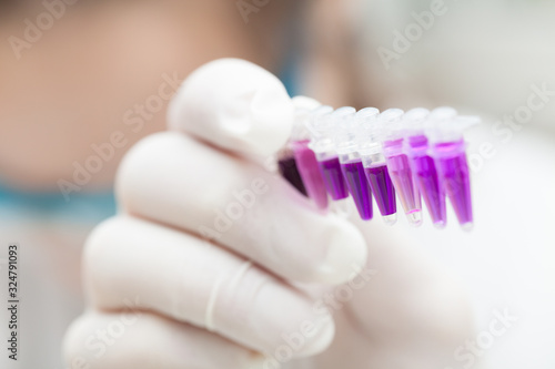 PCR Strip test tube in the laboratory