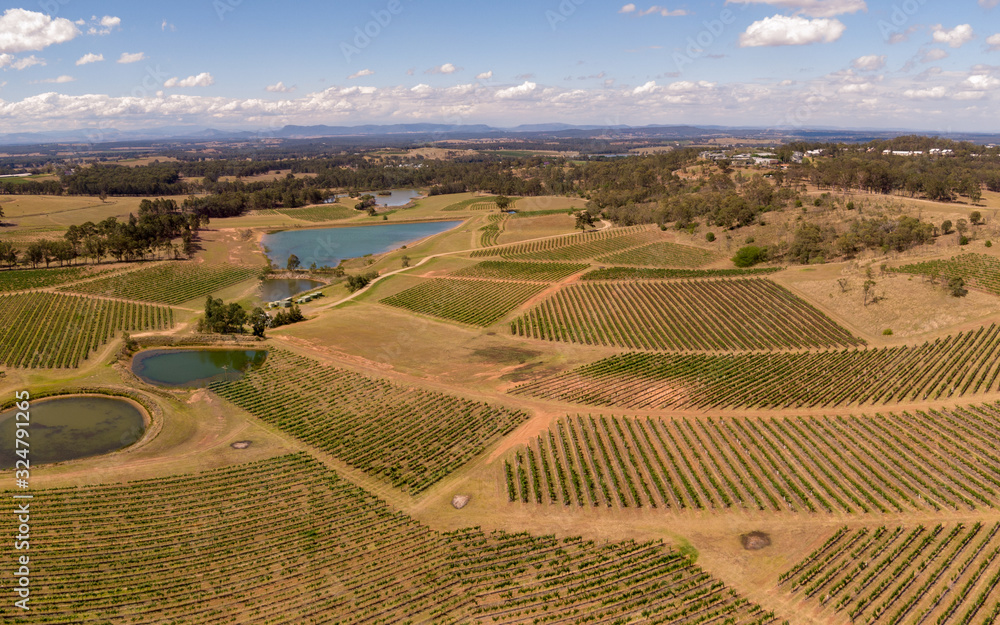 Hunter Valley Wine Region Australia. DRONE aerial view. Vineyards growing grapes for red wine. Green rolling hills. Dramatic landscape. Viticulture, scenic, drinking, growing concepts.